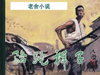 鸟人app官网